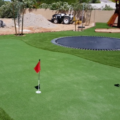 Lawn Services Tortolita, Arizona Golf Green, Backyard Designs