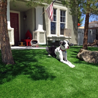 Outdoor Carpet Holbrook, Arizona Backyard Deck Ideas, Small Front Yard Landscaping