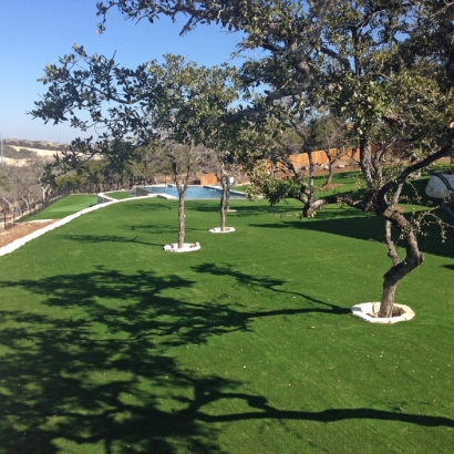 Outdoor Carpet Mohave Valley, Arizona Lawn And Garden, Swimming Pools