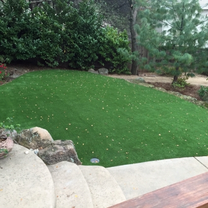 Outdoor Carpet Payson, Arizona Lawn And Landscape, Backyard Garden Ideas