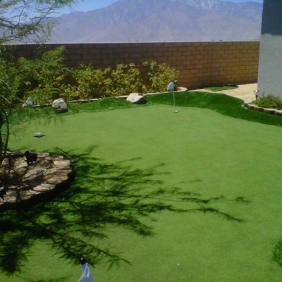 Plastic Grass Arizona Village, Arizona Landscaping, Backyard Design