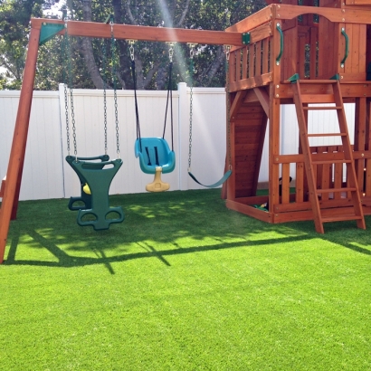 Plastic Grass Palominas, Arizona Playground Safety, Backyards