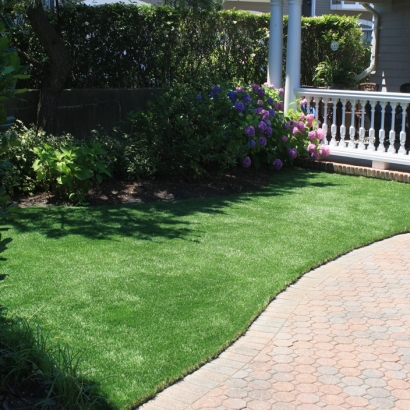 Synthetic Grass Cost Oracle, Arizona Design Ideas, Front Yard Landscaping