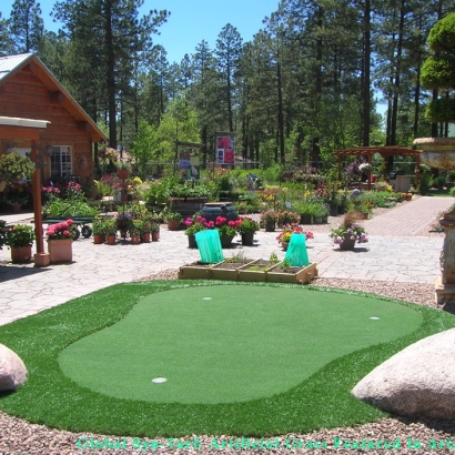 Synthetic Grass Cost Tempe Junction, Arizona Outdoor Putting Green, Backyard Makeover