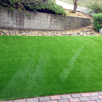 Synthetic Grass Cost Three Points, Arizona Dog Grass, Backyard Designs
