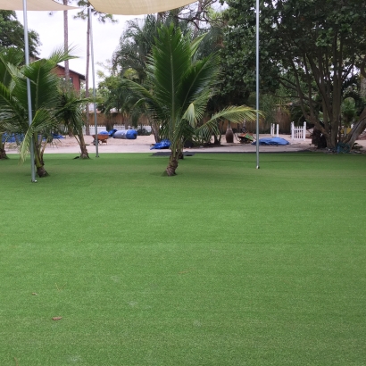 Synthetic Grass Cutter, Arizona Lawns, Commercial Landscape