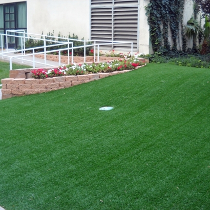 Synthetic Grass Valle, Arizona Putting Green Flags, Front Yard Landscape Ideas