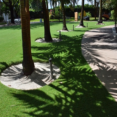 Synthetic Lawn Mammoth, Arizona Landscaping Business, Commercial Landscape