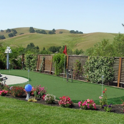 Synthetic Lawn Springerville, Arizona Roof Top, Small Backyard Ideas