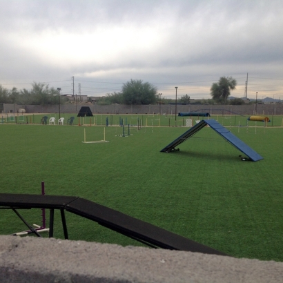 Synthetic Lawn Toyei, Arizona Eco Friendly Products, Recreational Areas