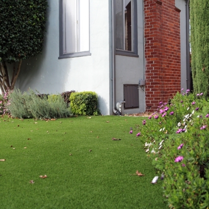 Synthetic Lawn Young, Arizona Landscape Ideas, Small Front Yard Landscaping