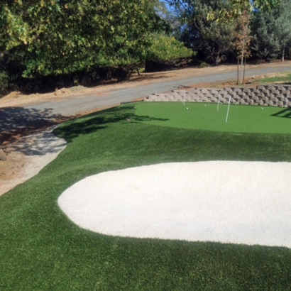 Synthetic Turf Gold Camp, Arizona Putting Green Flags, Front Yard Landscape Ideas