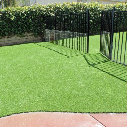 Synthetic Turf Supplier Citrus Park, Arizona Roof Top, Front Yard Landscaping