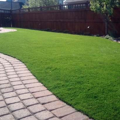 Synthetic Turf Supplier Peeples Valley, Arizona Hotel For Dogs, Small Backyard Ideas