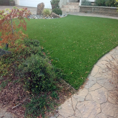 Synthetic Turf Topock, Arizona Lawn And Landscape, Backyard Landscape Ideas