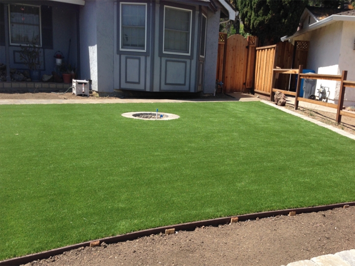 Artificial Grass Carpet Congress, Arizona City Landscape, Backyard Design