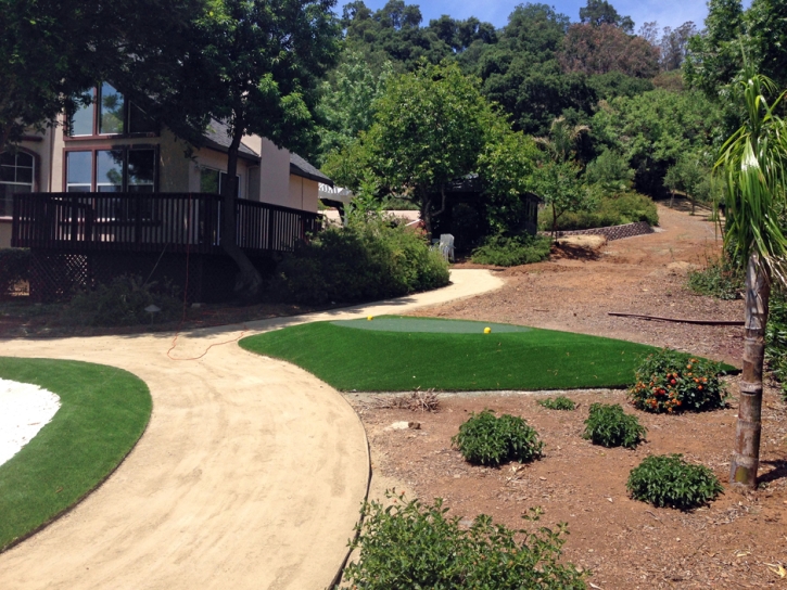 Artificial Grass Carpet Duncan, Arizona How To Build A Putting Green, Landscaping Ideas For Front Yard