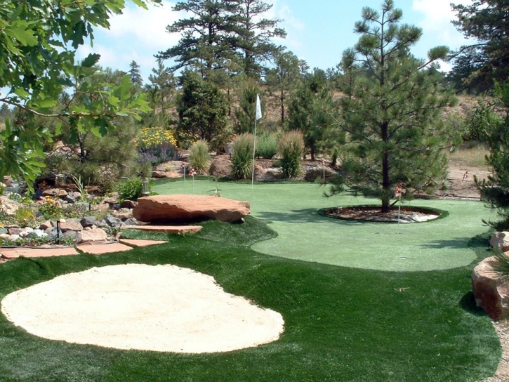Artificial Grass Carpet Glendale, Arizona Gardeners, Backyard Garden Ideas