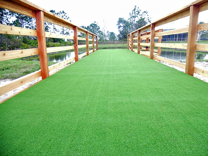 Artificial Grass Carpet Picture Rocks, Arizona Landscape Design, Commercial Landscape