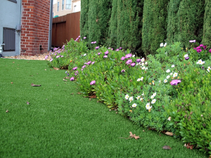 Artificial Grass Carpet Sanders, Arizona Gardeners, Front Yard Landscaping Ideas