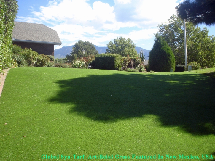 Artificial Grass Carpet Tolleson, Arizona Home And Garden, Beautiful Backyards