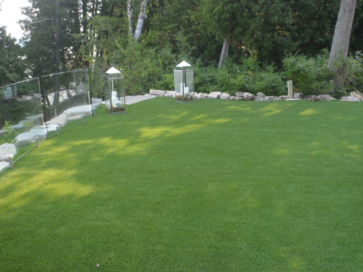 Artificial Grass Pisinemo, Arizona Landscape Rock, Backyard Garden Ideas