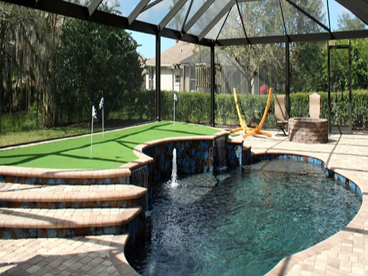Artificial Lawn Bisbee, Arizona Backyard Playground, Natural Swimming Pools