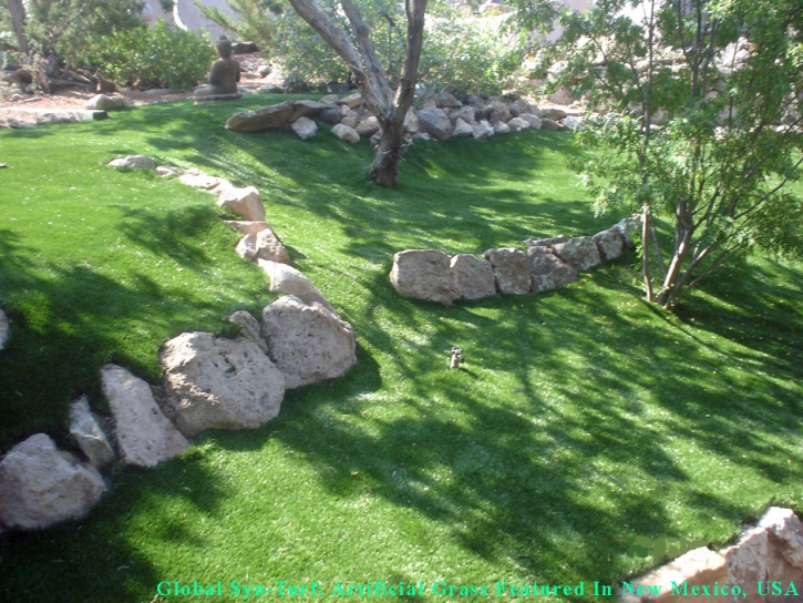 Artificial Lawn Scottsdale, Arizona Roof Top, Commercial Landscape