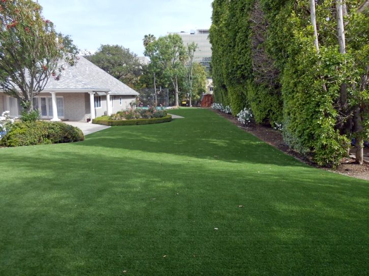 Artificial Lawn Shongopovi, Arizona Lawn And Landscape, Front Yard Landscaping