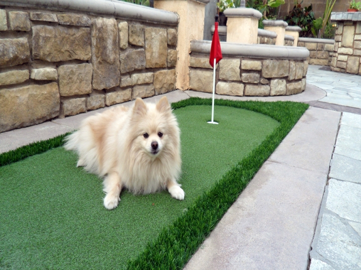 Artificial Lawn Tonto Basin, Arizona Home Putting Green, Backyard Makeover