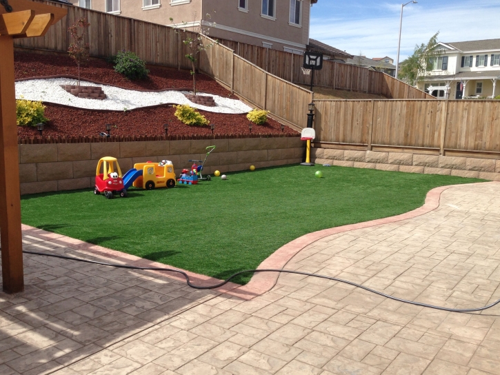 Artificial Turf Christopher Creek, Arizona Indoor Playground, Backyard Design