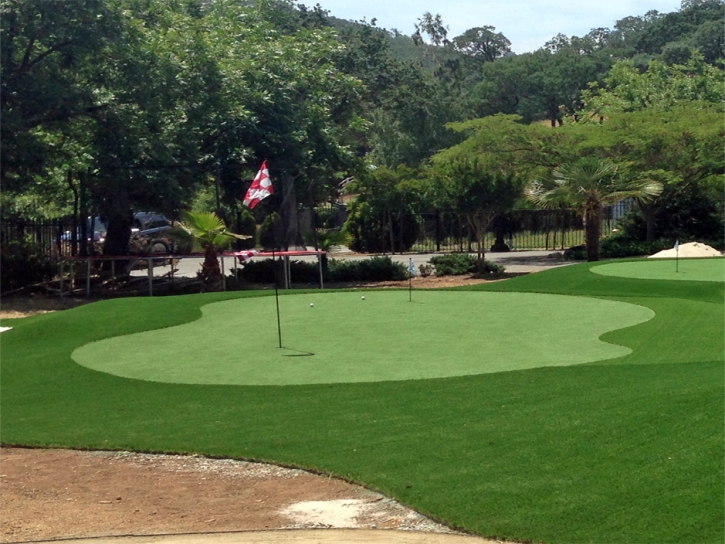 Artificial Turf Cost Sun Lakes, Arizona Indoor Putting Green, Landscaping Ideas For Front Yard