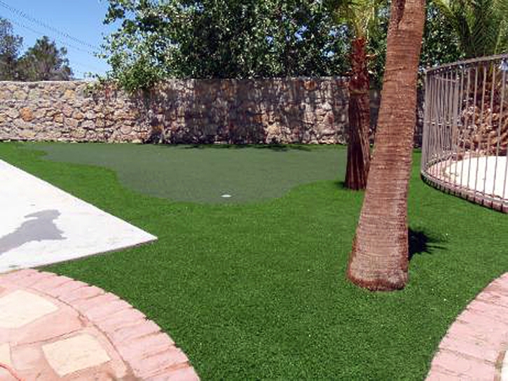 Artificial Turf Installation Peach Springs, Arizona Landscape Photos, Backyard Designs