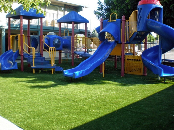 Best Artificial Grass Franklin, Arizona Kids Indoor Playground, Commercial Landscape