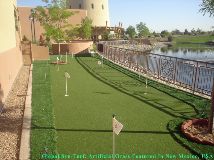 Best Artificial Grass Glendale, Arizona Roof Top, Backyard Makeover