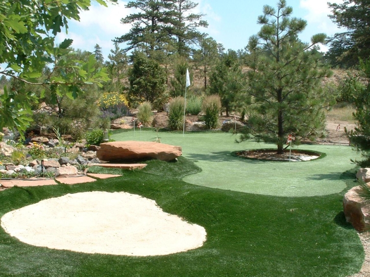 Best Artificial Grass Globe, Arizona Garden Ideas, Backyard Designs
