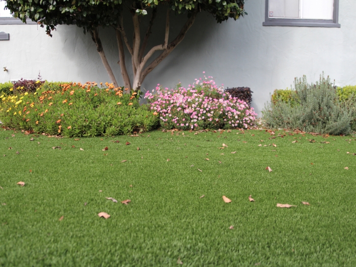 Best Artificial Grass Kaka, Arizona Landscaping, Landscaping Ideas For Front Yard
