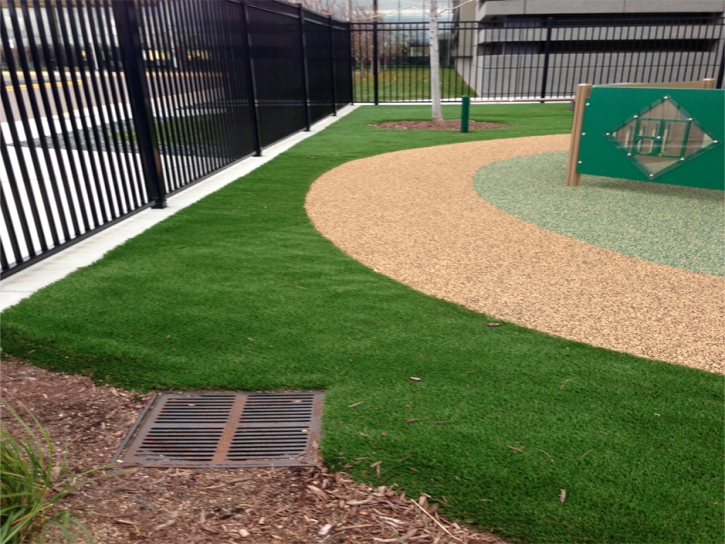 Fake Grass Carpet Clay Springs, Arizona Landscape Design, Commercial Landscape