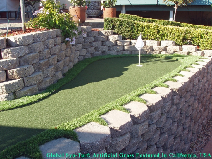 Fake Grass Carpet Tempe, Arizona Gardeners, Backyard Designs