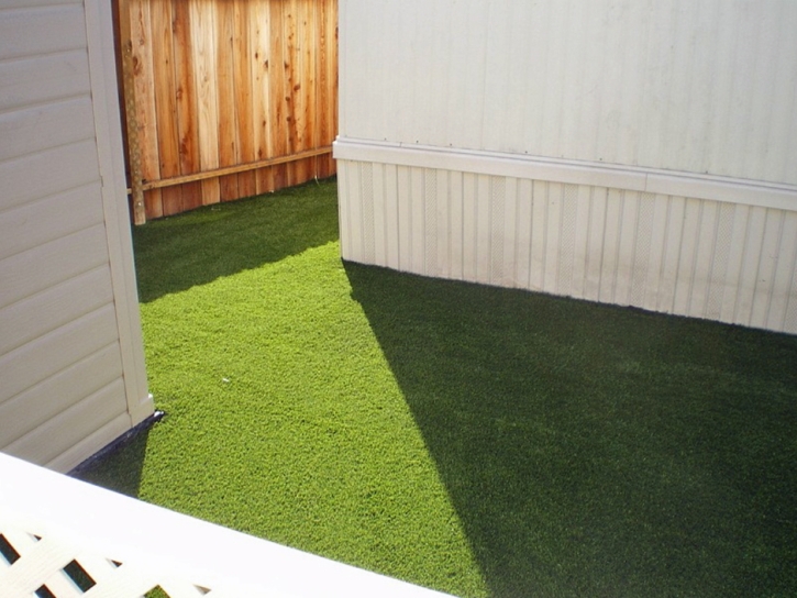 Fake Lawn Alpine, Arizona Dog Running, Backyard Makeover