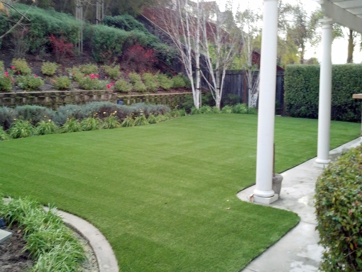 Fake Lawn Hackberry, Arizona Dog Pound, Small Backyard Ideas