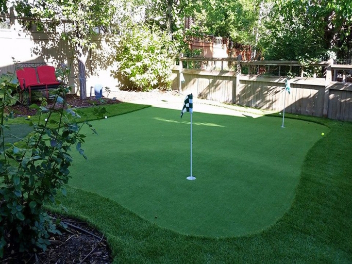 Fake Turf Casa Blanca, Arizona Lawn And Garden, Backyard Landscape Ideas