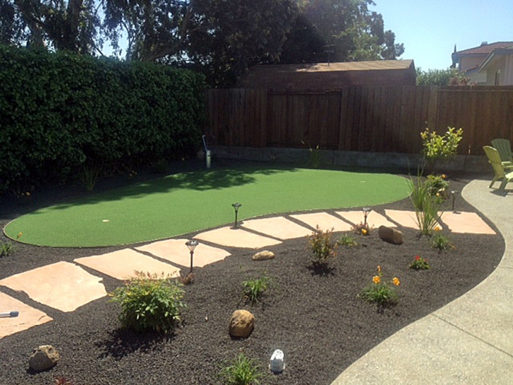 Fake Turf Williams, Arizona Office Putting Green, Backyard Landscaping