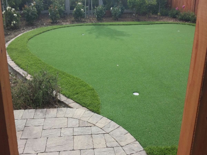 Faux Grass Bylas, Arizona Design Ideas, Backyard Landscaping Ideas