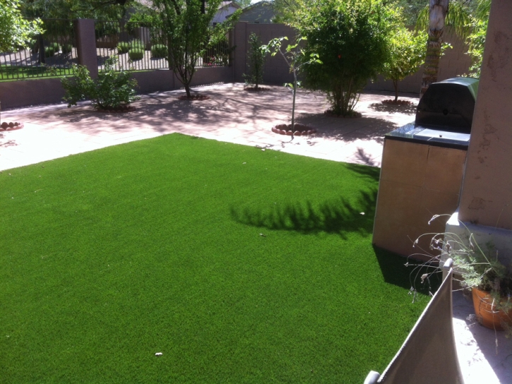 Grass Carpet Copper Hill, Arizona Indoor Dog Park, Backyard Landscaping