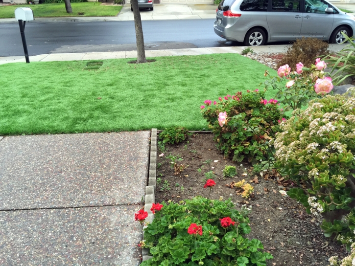 Grass Carpet New Kingman-Butler, Arizona Gardeners, Front Yard Landscape Ideas