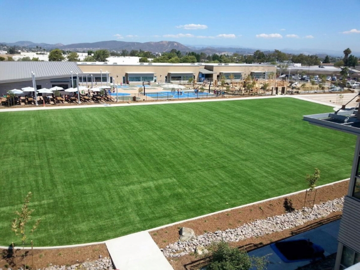 Grass Carpet Safford, Arizona Backyard Sports, Commercial Landscape