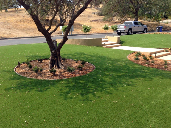 Grass Installation Chloride, Arizona Lawn And Landscape, Front Yard Landscaping Ideas