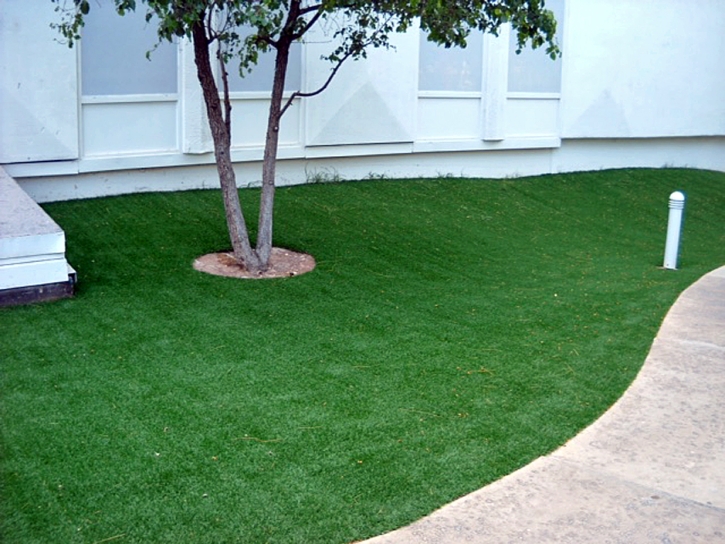 Grass Turf Valencia West, Arizona Garden Ideas, Commercial Landscape