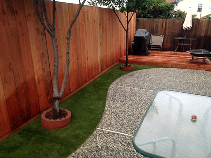 Grass Turf Wittmann, Arizona Pet Paradise, Beautiful Backyards